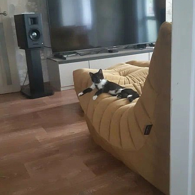 Изготовление бескаркасной мебели на заказ. Фото результата и отзыв клиента с оценкой 5/5.